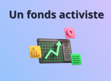 Fonds activiste